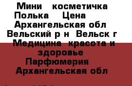 Мини - косметичка “Полька“ › Цена ­ 200 - Архангельская обл., Вельский р-н, Вельск г. Медицина, красота и здоровье » Парфюмерия   . Архангельская обл.